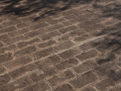 现代户外地砖 铺路砖 路面 铺装 地砖铺贴3d模型