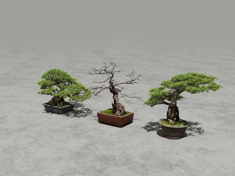  精致盆景 中式 植物 绿意与枯韵的交融3d模型 