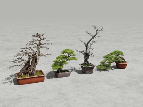  中式盆栽植物 摆件3d模型 