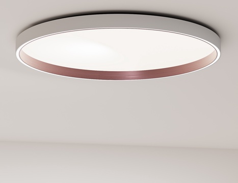  现代简约极简卧室平板吸顶灯LED金属吸顶灯北欧工业风3d模型 