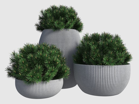  现代花钵 花坛 花钵 盆栽 外摆花箱 绿植盆栽3d模型 