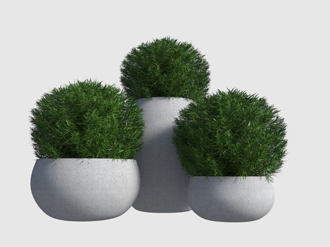  现代花钵 花坛 花钵 盆栽 外摆花箱 绿植盆栽3d模型 