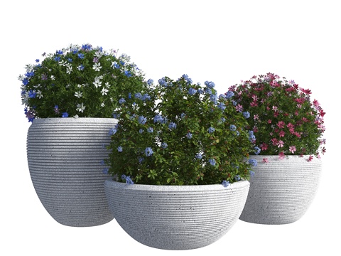  现代花钵 花坛 花钵 盆栽 外摆花箱 绿植盆栽3d模型 