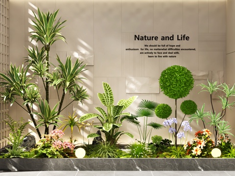  室内景观 景观造景 景观树 植物组合 庭院景观su模型 