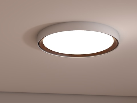  现代北欧吸顶灯圆形卧室吸顶灯意式简约吸顶灯金属吸顶灯3d模型 