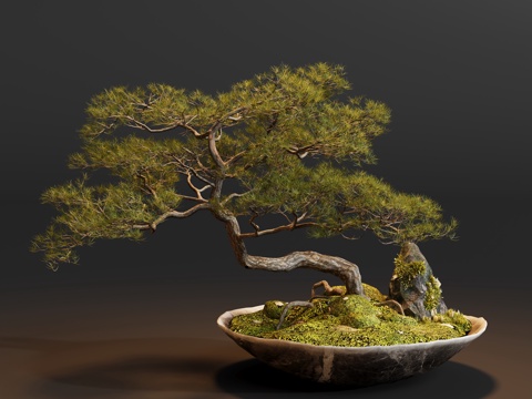  盆栽松绿植摆件3d模型 
