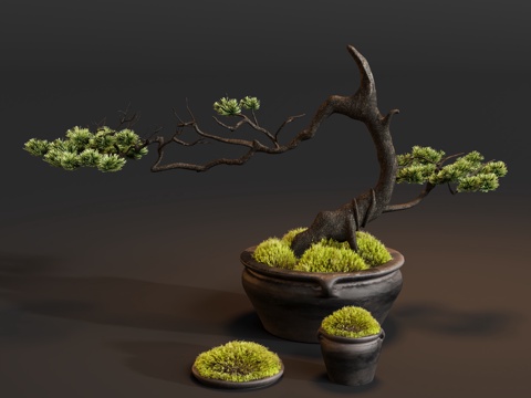  盆栽苔藓松绿植3d模型 