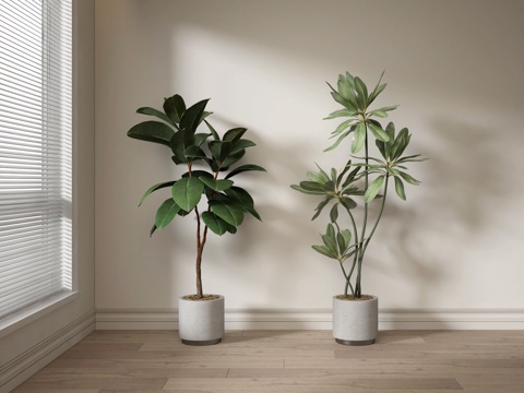  现代绿植盆栽3d模型 