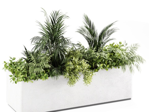  室内植物套装 1363d模型 