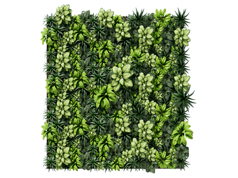  绿植墙 植生墙 绿墙su模型 