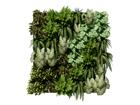  绿植墙 植生墙 绿墙su模型 