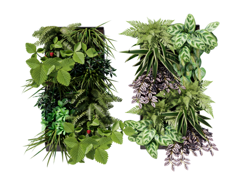 绿植墙 植生墙 绿墙su模型 