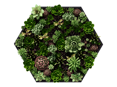  绿植墙 植生墙 绿墙su模型 