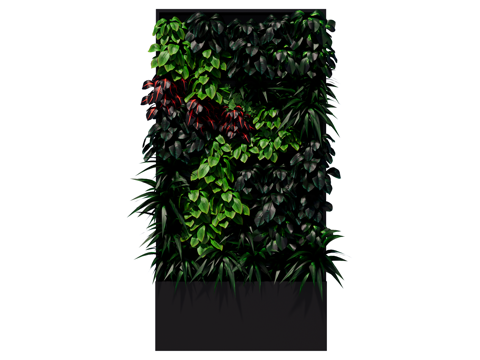  绿植墙 植生墙 绿墙su模型 
