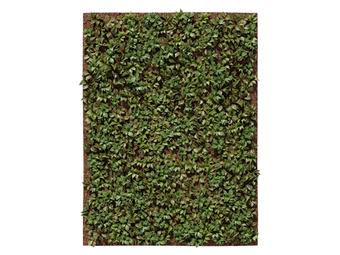  绿植墙 植生墙 绿墙su模型 