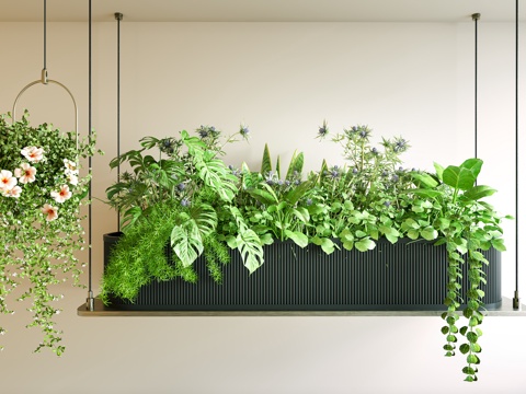  吊灯花箱 花箱 垂植物 植物花箱 植物吊灯 吊篮绿植 植物吊su模型 