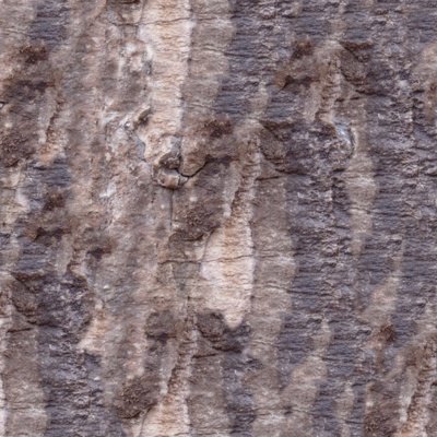  自然石头石皮岩石纹理 