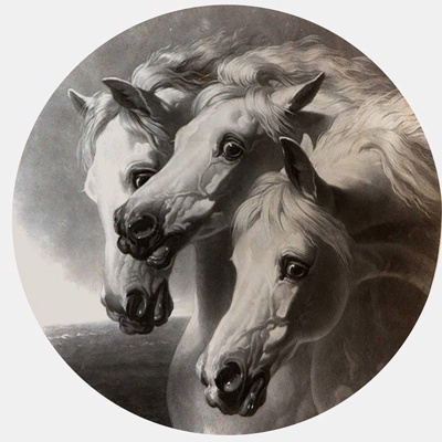  黑白风格装饰画 