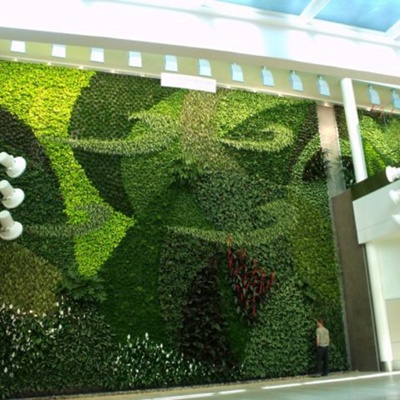  植物墙装饰 
