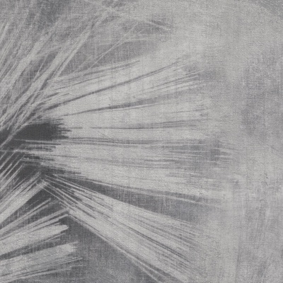  灰色壁纸 