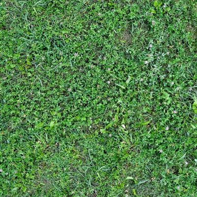  无缝园林庭院景观绿色草坪草地草皮地面 