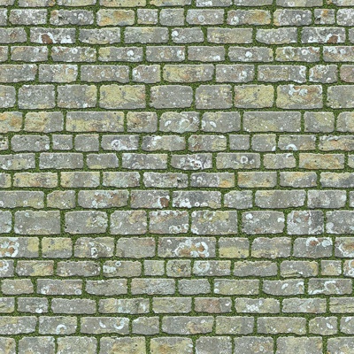  无缝公园透水砖草坪砖植草砖停车位铺装铺路 