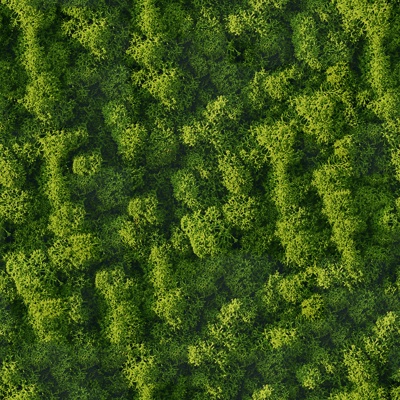  无缝庭院园林苔藓草坪草皮草地地面墙面 