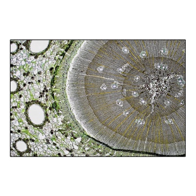  绿色抽象几何地毯 