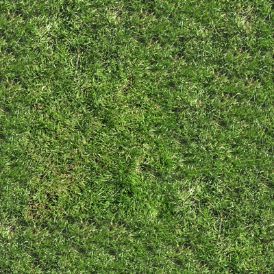  无缝草地草坪草皮贴图 