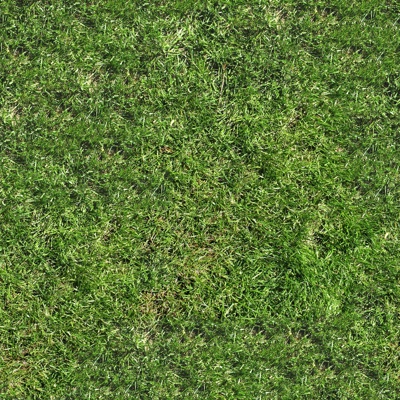  无缝草地草坪草皮贴图 