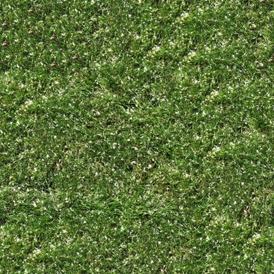  无缝草地草坪草皮贴图 