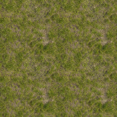  无缝草地草坪草皮贴图 