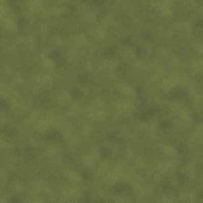  缝园林庭院景观绿色草坪草地草皮苔藓地面 