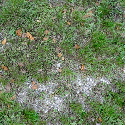  无缝枯枝落叶草皮草地草坪地面 