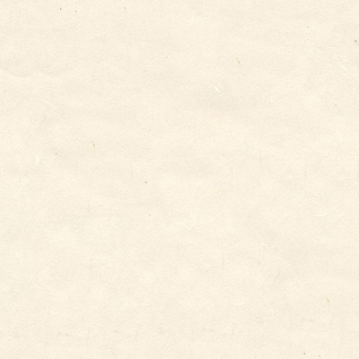  无缝米白色牛皮纸张纸皮卡纸硫酸纸肌理壁纸 