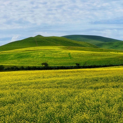  蓝天绿地草坪森林山水 