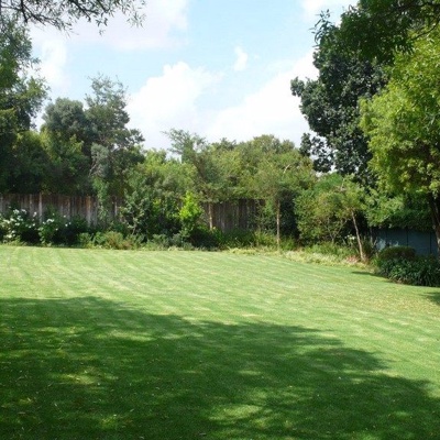  蓝天绿地草坪森林山水 