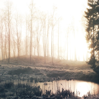  蓝天绿地草坪森林山水 