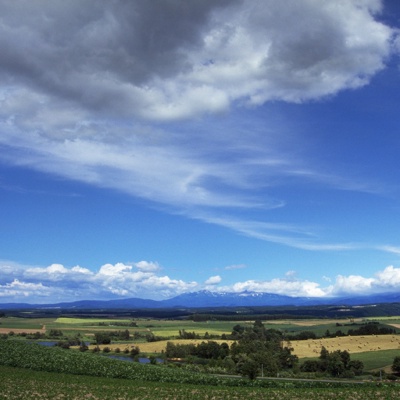  蓝天绿地草坪森林山水 