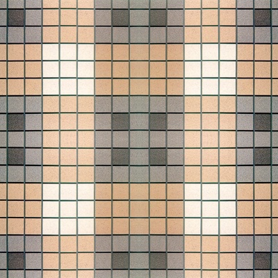  地拼花 地砖 广场砖 瓷砖 