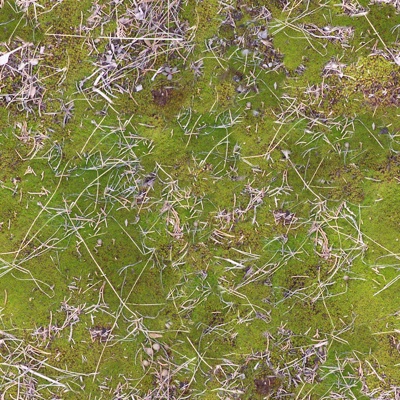  无缝枯叶草皮草坪地面 