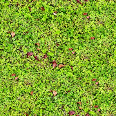  无缝园林庭院景观绿色草坪草地草皮地面 