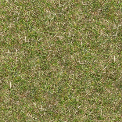  无缝园林庭院景观绿色草坪草地草皮地面 