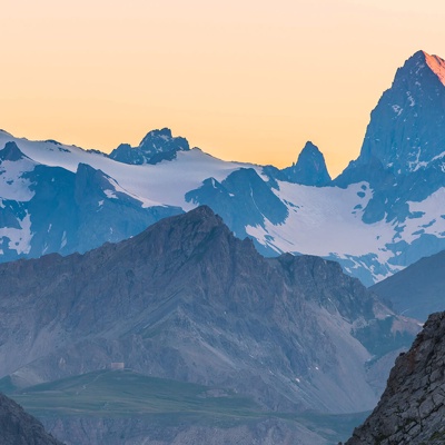  现代北欧壁纸 绿色北欧风壁纸墙 热带雨林壁纸 花鸟壁纸 壁布 