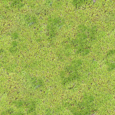  无缝园林庭院浅绿色草地草坪地面 