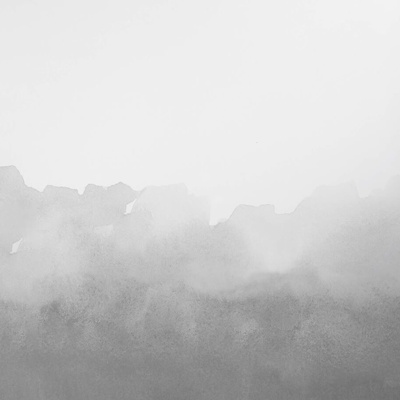  现代北欧壁纸 灰色北欧风壁纸墙 热带雨林壁纸 花鸟壁纸 壁布 