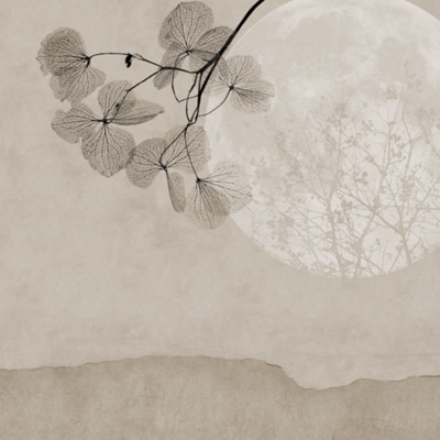  新中式禅意壁画 