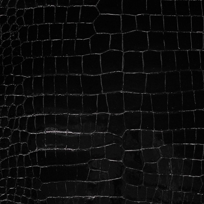  黑色鳄鱼皮革 