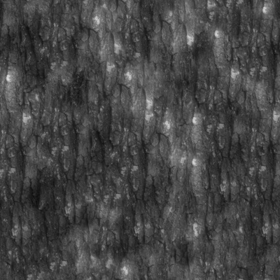  无缝开裂干枯的树皮树干纹理 