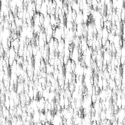  无缝开裂干枯的树皮树干纹理 